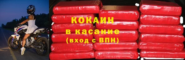 шишки Гусиноозёрск